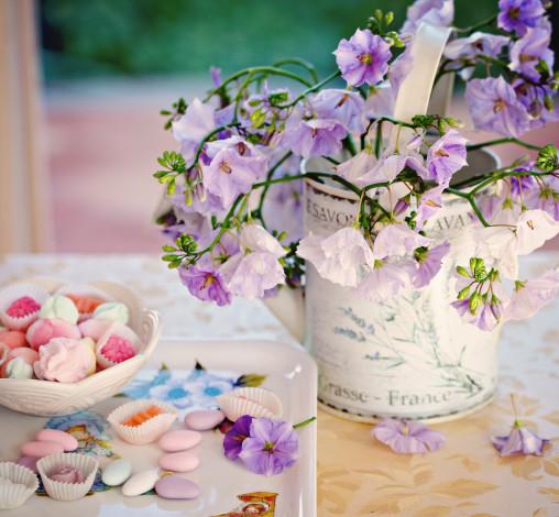Обои картинки фото цветы, драже, лейка, конфеты, elena, di, guardo