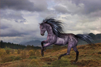Картинка 3д графика animals животные лошадь облака лес