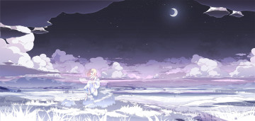 Картинка аниме *unknown другое облака месяц природа девушка трава ночь