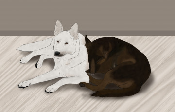 Картинка рисованные животные собаки