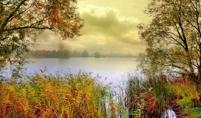Обои картинки фото природа, реки, озера, камыш, осень, лес, озеро, дымка