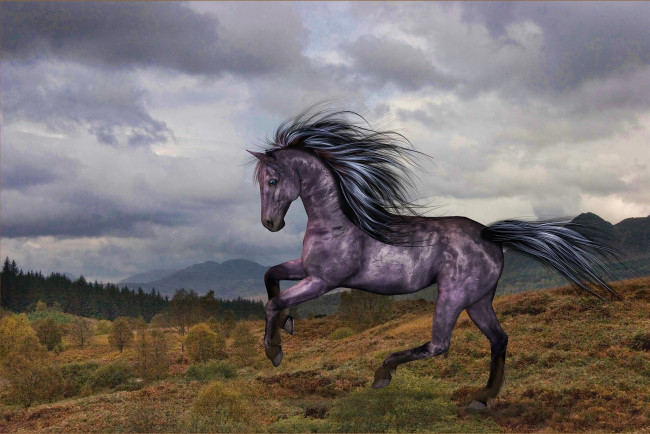 Обои картинки фото 3д, графика, animals, животные, лошадь, облака, лес