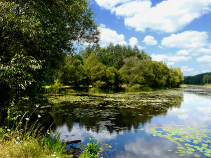Картинка природа реки озера озеро облака деревья отражение