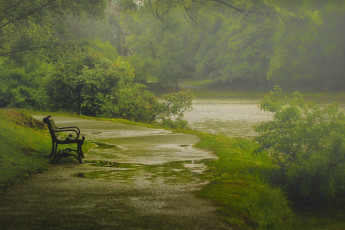 Картинка природа парк лавка вашингтон олбани paul jolicoeur photography май весна дождь