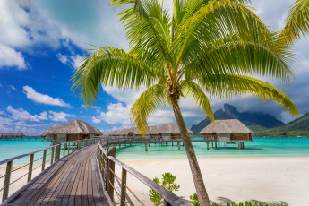 Картинка природа тропики море пляж пальмы домики песок мостик солнышко