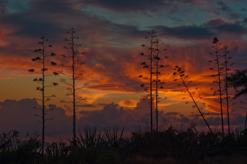 Картинка природа восходы закаты закат небо kauai кауаи гаваи гавайских островов