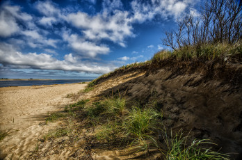 Картинка природа побережье берег пляж