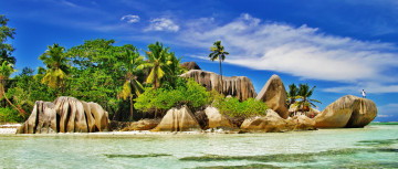 Картинка природа тропики пальмы море солнышко песок пляж