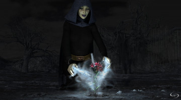 Картинка 3д+графика фантазия+ fantasy накидка девушка взгляд цветы магия