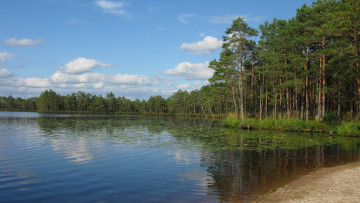 Картинка природа реки озера озеро осень лес