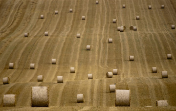 Картинка природа поля поле лето сено тюки