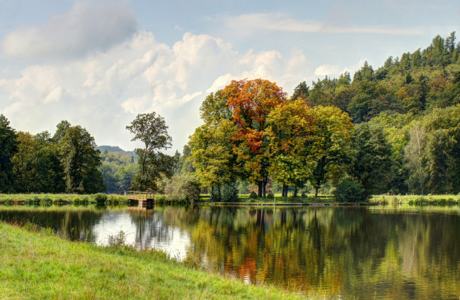Обои картинки фото природа, реки, озера, мостик, река, лес, осень