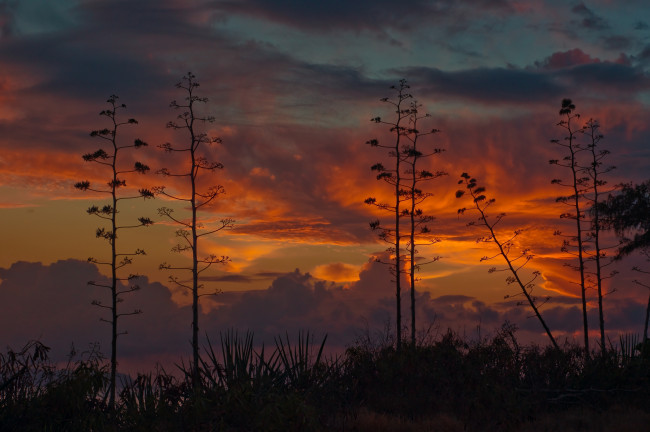 Обои картинки фото природа, восходы, закаты, закат, небо, kauai, кауаи, гаваи, гавайских, островов