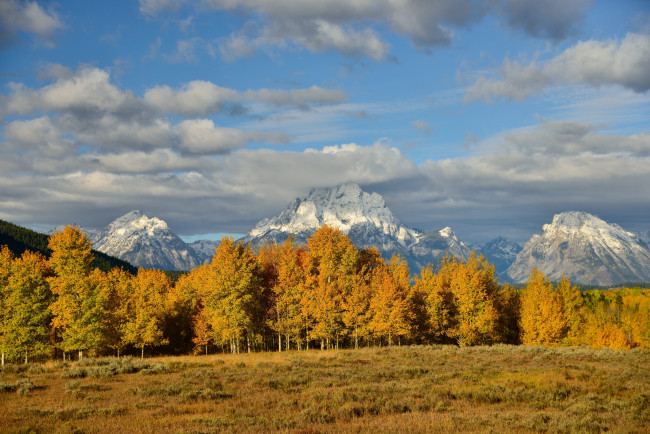 Обои картинки фото природа, горы, деревья, осень, время, года