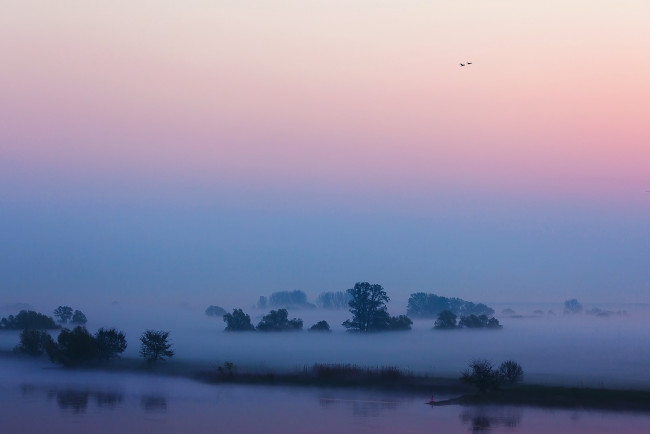 Обои картинки фото природа, реки, озера, небо, туман, река, утро