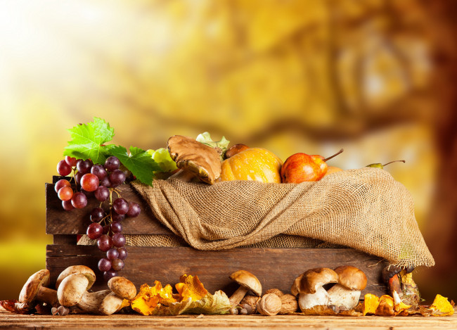 Обои картинки фото еда, фрукты и овощи вместе, виноград, груша, ящик, тыква, листья, орехи, грибы