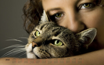 Картинка календари девушки взгляд морда лицо кошка