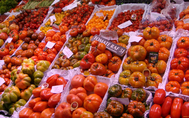 Обои картинки фото еда, помидоры, ассорти, томаты, много
