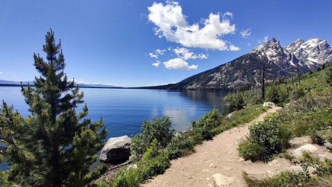 Обои картинки фото jenny lake, grand teton national park, природа, реки, озера, jenny, lake, grand, teton, national, park