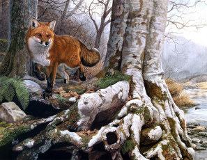 Картинка running wild рисованные al agnew лиса лес осень