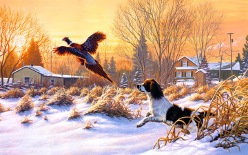 Картинка getting up рисованные frank mittelstadt птица собака