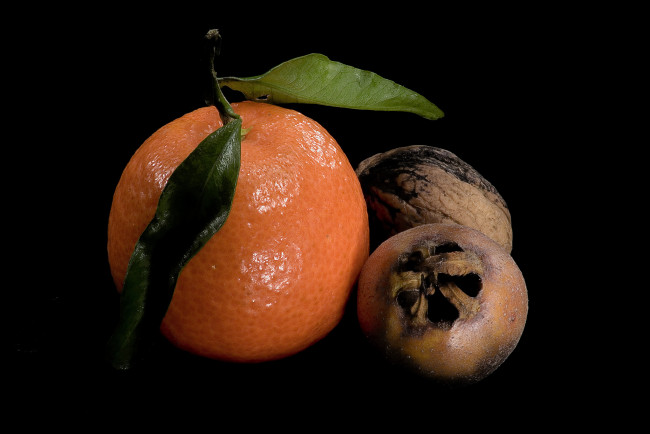 Обои картинки фото еда, разное, орехи, апельсин