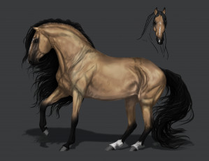 обоя рисованное, животные,  лошади, конь, фон, грива