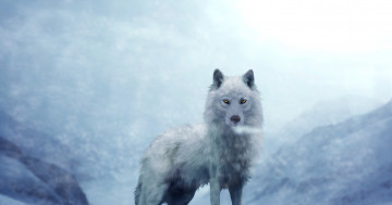 Картинка рисованное животные +волки взгляд фон волк