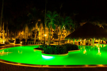 Картинка интерьер бассейны +открытые+площадки бассейн пальмы подсветка