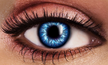 Картинка разное глаза взгляд глаз ресницы зрачок крупным планом голубой