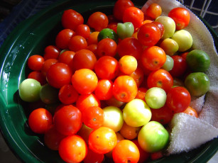 Картинка еда помидоры полотенце миска томаты