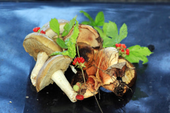 Картинка еда грибы грибные блюда ягоды