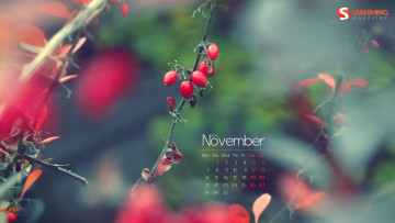 Картинка календари природа ягоды шиповник ветка