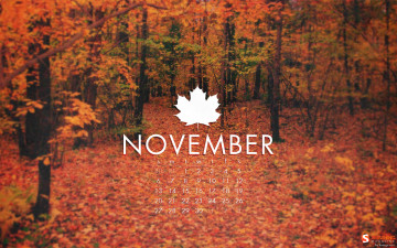 обоя календари, природа, лес, оранжевый, осень