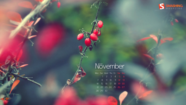 Обои картинки фото календари, природа, ягоды, шиповник, ветка