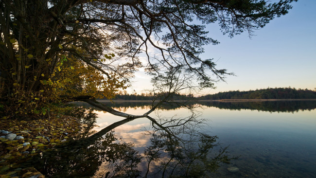 Обои картинки фото природа, реки, озера, озеро, деревья, берег