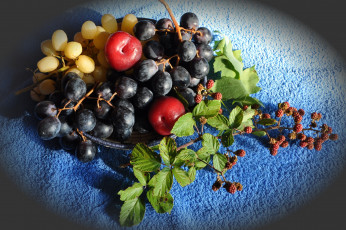 Картинка еда фрукты +ягоды малина сливы виноград
