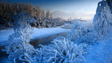 Картинка природа зима утро небо деревья снег река
