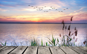 Картинка природа реки озера озеро закат landscape lake sunset чайки