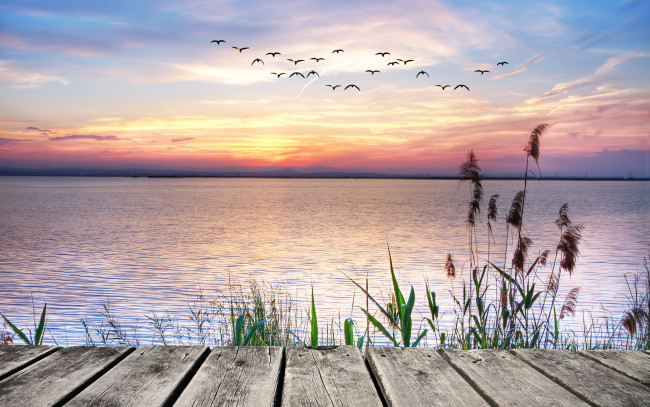 Обои картинки фото природа, реки, озера, озеро, закат, landscape, lake, sunset, чайки