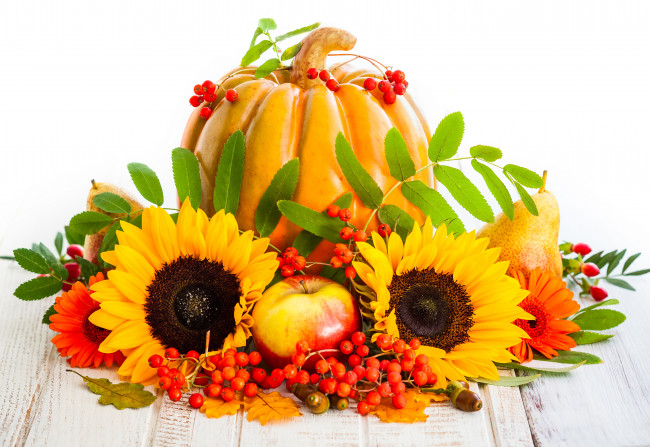 Обои картинки фото еда, натюрморт, autumn, подсолнухи, яблоки, pumpkin, осень, урожай, листья, фрукты, sunflower, harvest, тыква, груши, ягоды