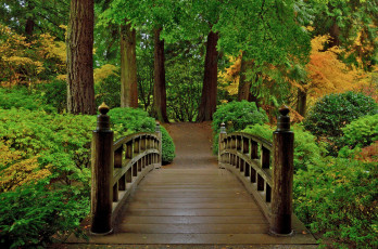 Картинка природа дороги мостик лес
