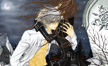 Картинка аниме vampire+knight рыцарь-вампир yuuki cross vampire knight объятия плита ветер kiryu zero снег ночь луна