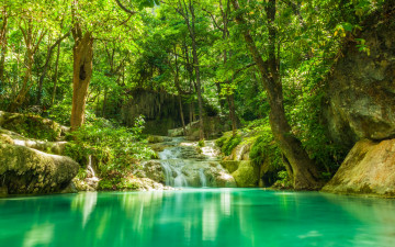 Картинка природа реки озера джунгли камни деревья зелень тропики водопад ручей лес озеро лето