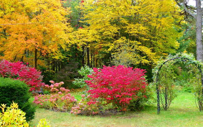 Обои картинки фото природа, парк, красота, деревья, кусты, трава, краски, осень