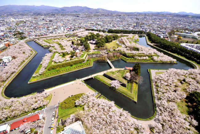 Обои картинки фото города, - панорамы, hakodate, панорама, дизайн, goryokaku, park, Япония, парк, канал