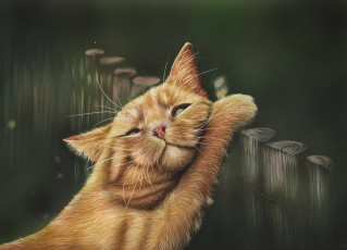 Картинка рисованное животные +коты кот by shonechacko забор рисунок