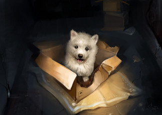 Картинка рисованное животные +собаки by salamandra-s щенок коробка