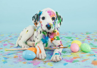 Картинка животные собаки щенок краски кисти яйца