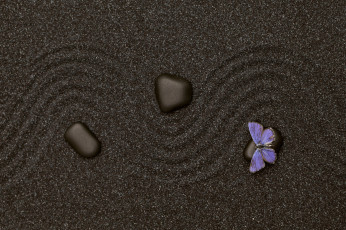 Картинка разное текстуры текстура бабочка песок камень